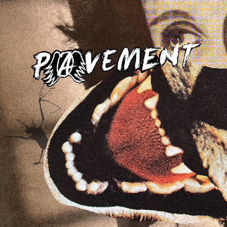 Pavement - Hecklers Choice: Big Gums And Heavy Lifters album cover 