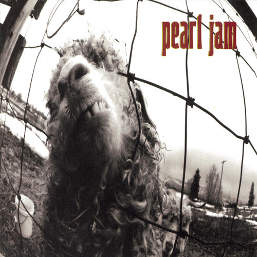 Pearl Jam - Vs. album cover
