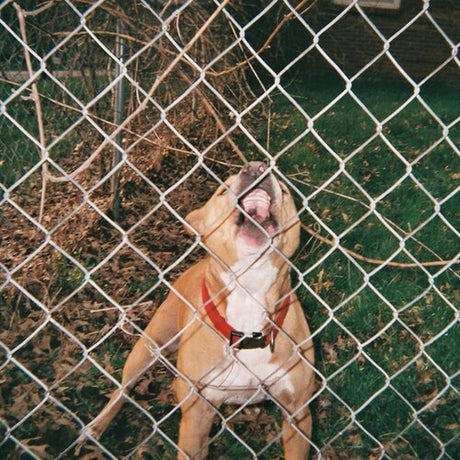 Knocked Loose - Pop Culture album cover