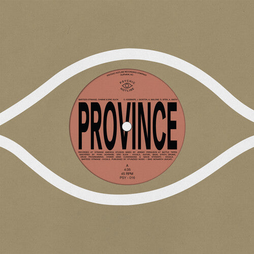 Bartees Strange, Ohmme, Eric Slick, & Anjimile - Province / Ever New
single