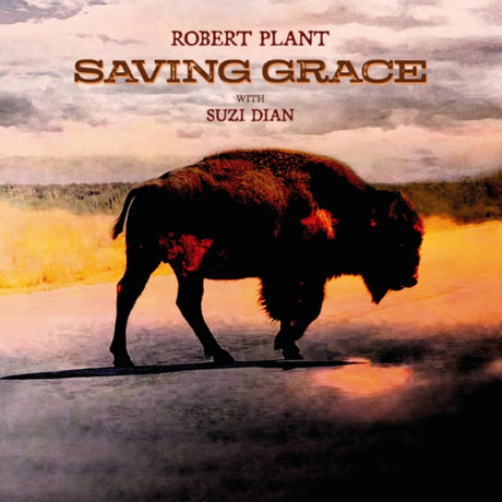 Robert Plant - Saving Grace album cover. 