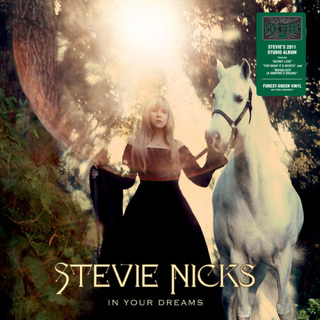 Stevie Nicks - In Your Dreams album cover. 