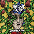 What You Don't See - Story So Far album cover