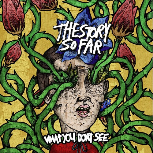 The Story So Far - What You Don’t See album cover. 