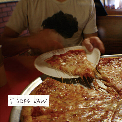 tigers jaw album cover 