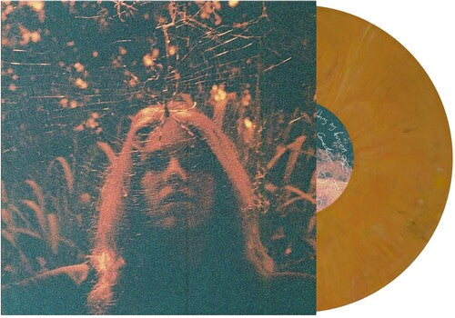 Turnover - Peripheral Vision album cover and gold vinyl.  