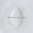 Wilco - A Ghost Is Born album cover. 