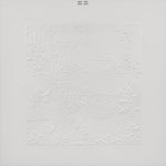Bon Iver, Bon Iver - 10th Anniversary Edition album cover
