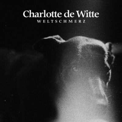 Charlotte De Witte - Weltschmerz album cover