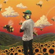 Graphic of Tyler The Creator Flower Boy Album