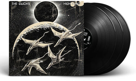 Ducks - High Flyin album cover and 3 LP's. 