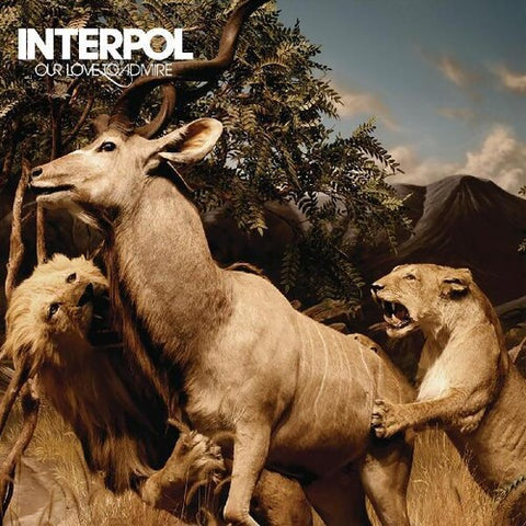 Interpol - Our Love To Admire album cover.