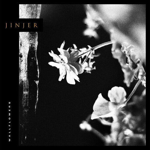 Jinjer - Wallflowers album cover.
