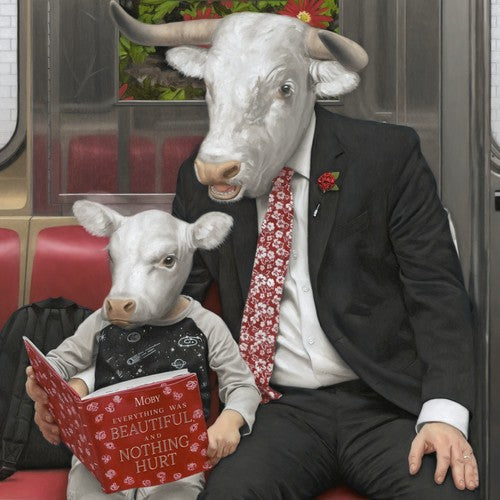 Moby - Everything Was Beautiful, and Nothing Hurt album cover.