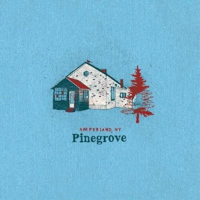 Pinegrove - Amperland, NY album cover