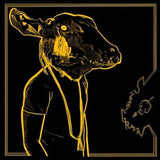 Shakey Graves - Roll The Bones ten album cover