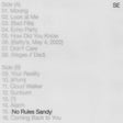 Sylvan Esso - No Rules Sandy album cover
