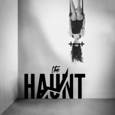 The Haunt - All Went Black (Boots Remix) 7" single album cover