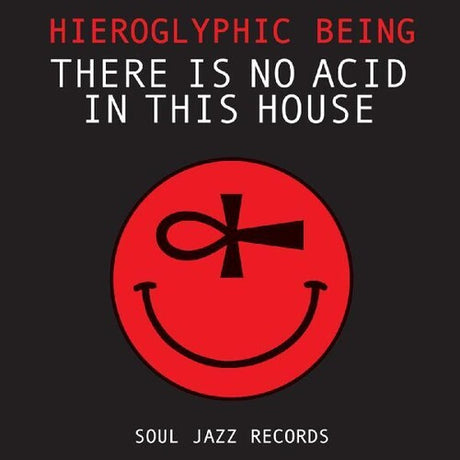 Hieroglyphic Being - There Is No Acid in This House album cover.