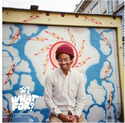 Toro y Moi - What for album cover