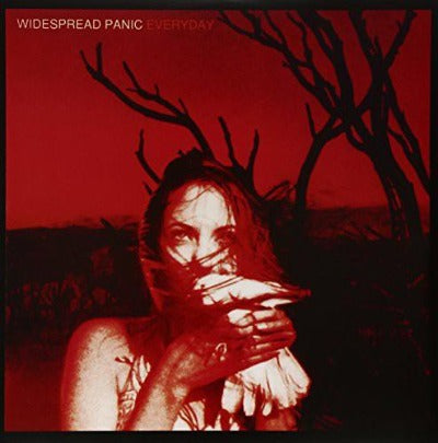 Widespread Panic - Everyday album cover