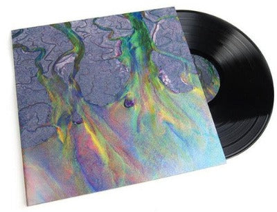 Alt-J An Awesome Wave Album Cover and Black Vinyl