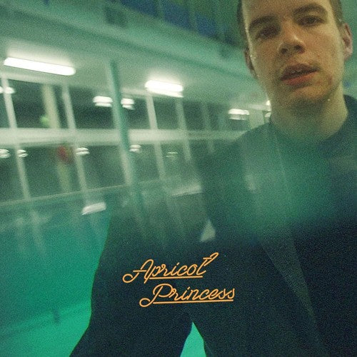 Rex Orange County - Apricot Princess album cover.