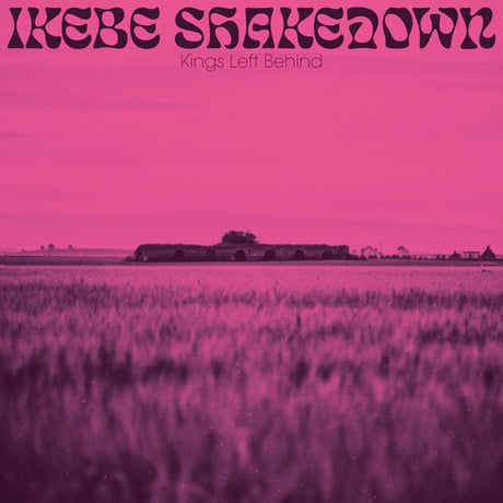 Ikebe Shakedown - Kings Left Behind album cover.