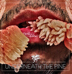 Toro y Moi - Underneath the Pine album cover.