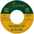 The Soul Chance Who Could it be? 7 inch vinyl